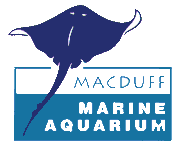 Macduff Marine Aquarium